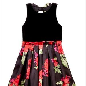 Sleeveless Velvet & Printed Floral Skirt Dress